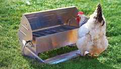 Chicken store feeder treadle